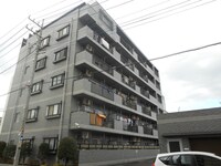 ﾄﾞﾐｰﾙｶﾈｺ