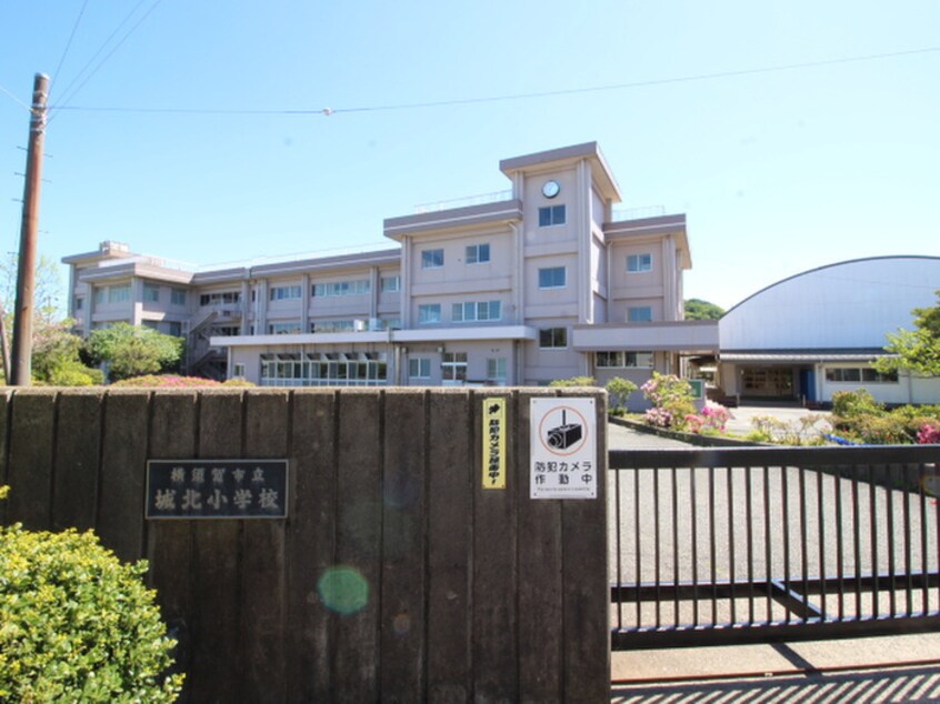 横須賀市立城北小学校(小学校)まで313m グレイス山田