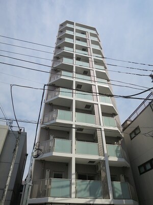 MAXIV大山(1101)