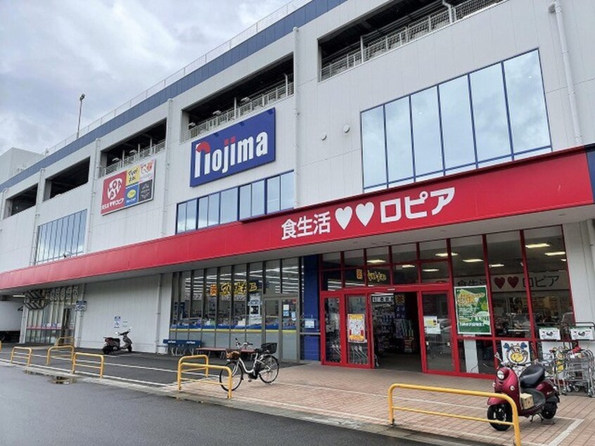 ロピア川崎水沢店(スーパー)まで575m ユナイト宮前平カンパニア