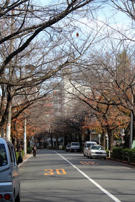 かむろ坂(公園)まで1100m サンビレッジ