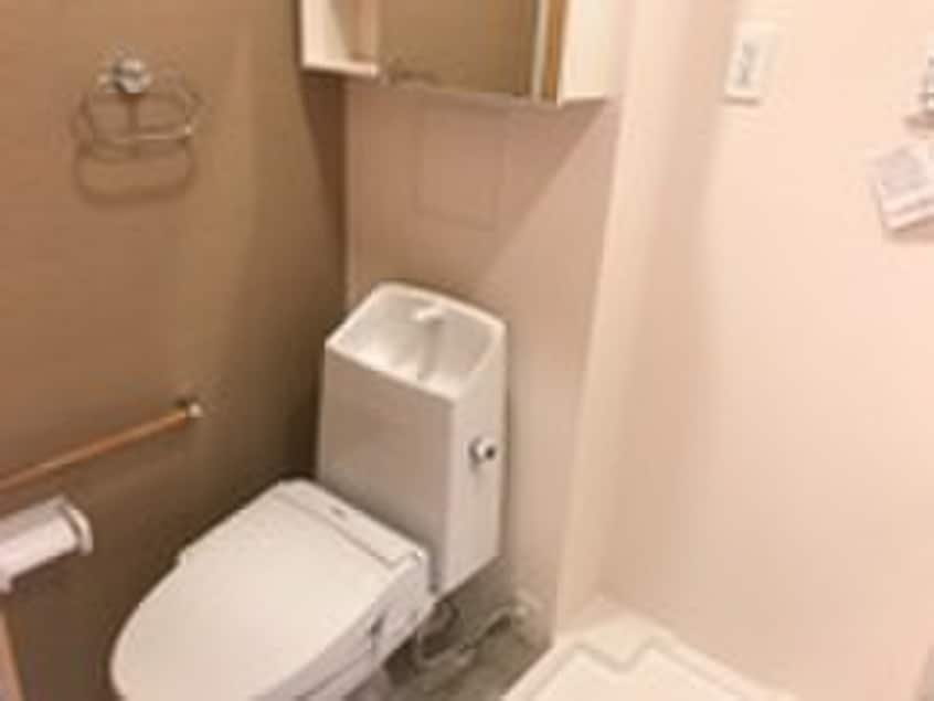 トイレ 仮）ルアナ