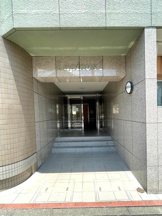 エントランス部分 ルピナス１