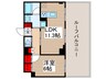 DIPS北千住(603) 1LDKの間取り