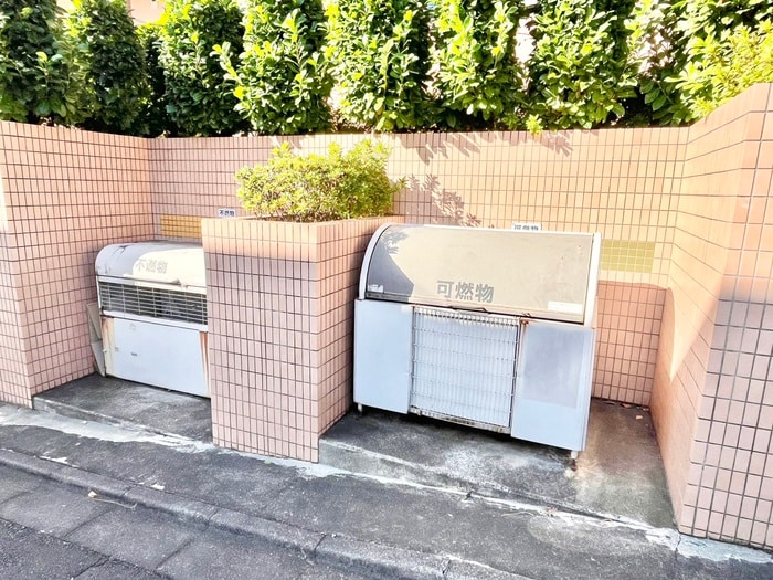 その他 ルピナス７