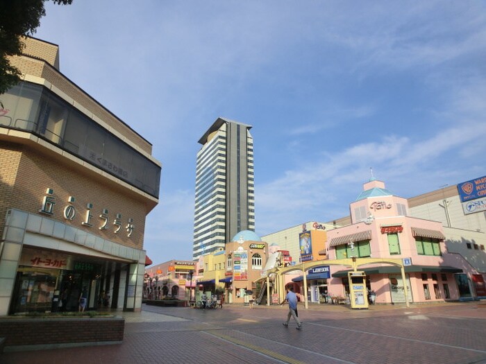 イトーヨーカドー多摩センター店(デパート)まで3000m ルピナス７