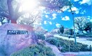 水元スポーツセンター公園(公園)まで210m Ｍａｉｓｏｎ　Ｍ