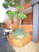 その他 カ－サ本中山