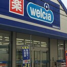 ウエルシア板橋新高島平店(ドラッグストア)まで233m アランハイム