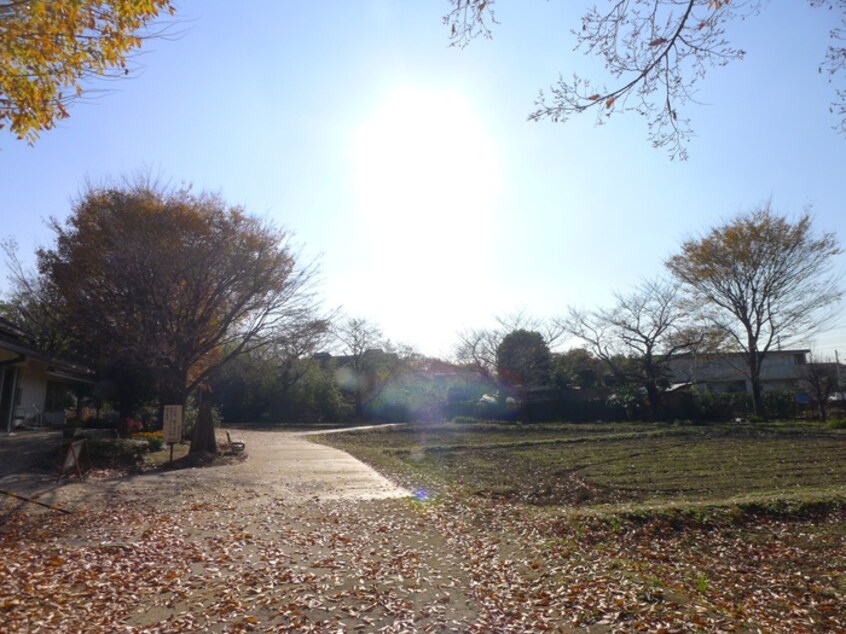 次大夫堀公園(公園)まで153m クレスト世田谷・Ⅰ