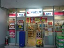 ココカラファイン 芝浦店(ドラッグストア)まで220m ローレルタワールネ浜松町(2201)