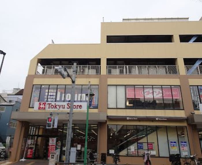 DAISO上池台東急ストア店(100均)まで333m シェ－ルグラン上池台