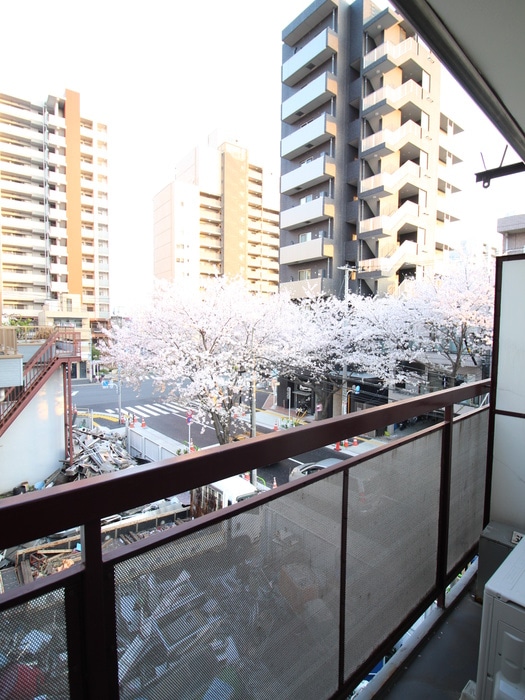 周辺環境 桜ハイツ