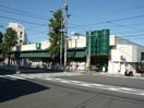 SUPER MARKET FUJI　(スーパー)まで542m モンテベルデ横浜中央(1101)
