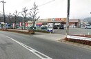 エコスTAIRAYA元八王子店(スーパー)まで540m カトレアハイツ