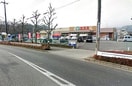 エコスTAIRAYA元八王子店(スーパー)まで540m カトレアハイツ