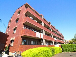 ボーアタルデこぐれ