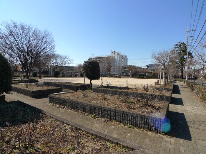 公園(公園)まで120m パレス  ソフィア