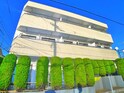 完成写真