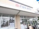 クリエイトSD世田谷船橋店(ドラッグストア)まで604m ベルハイムⅡ