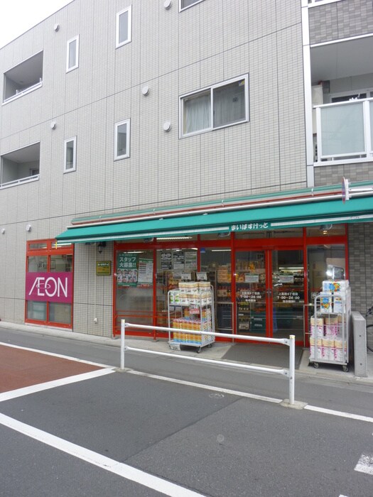 イオン(スーパー)まで371m フェリス中野
