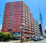 ﾗｲｵﾝｽﾞﾏﾝｼｮﾝ吾妻橋（１１０５）