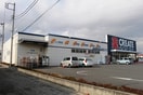 クリエイト(ドラッグストア)まで270m さざ波ハウス