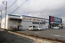 クリエイト(ドラッグストア)まで270m さざ波ハウス
