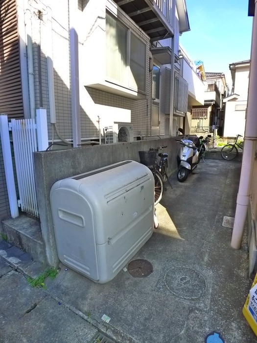 その他 バウ猫実