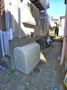 その他 バウ猫実