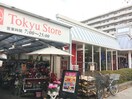 東急ストア宮崎台店(スーパー)まで750m グレイスランド宮崎台