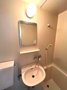 洗面 ウィスタリア国領