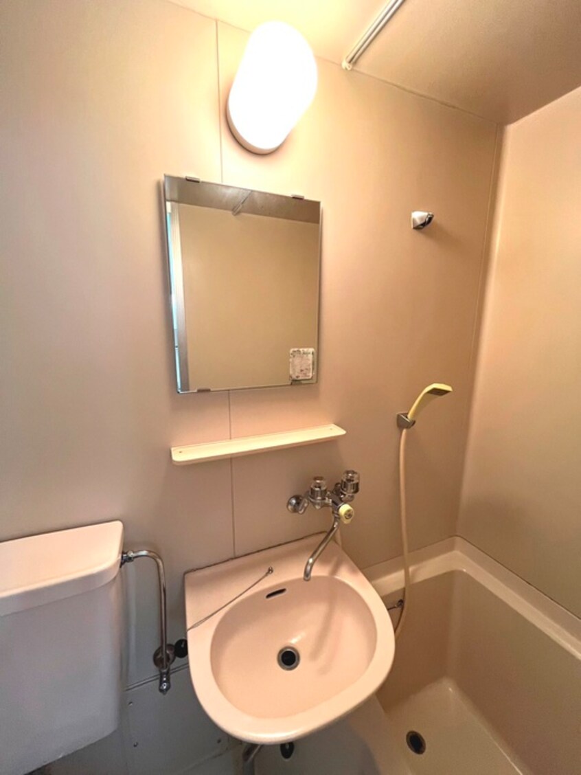 洗面 ウィスタリア国領