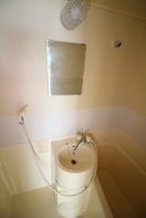 洗面 ＡＮＤＯ ＧＲＥＥＮ ＨＥＩＭ