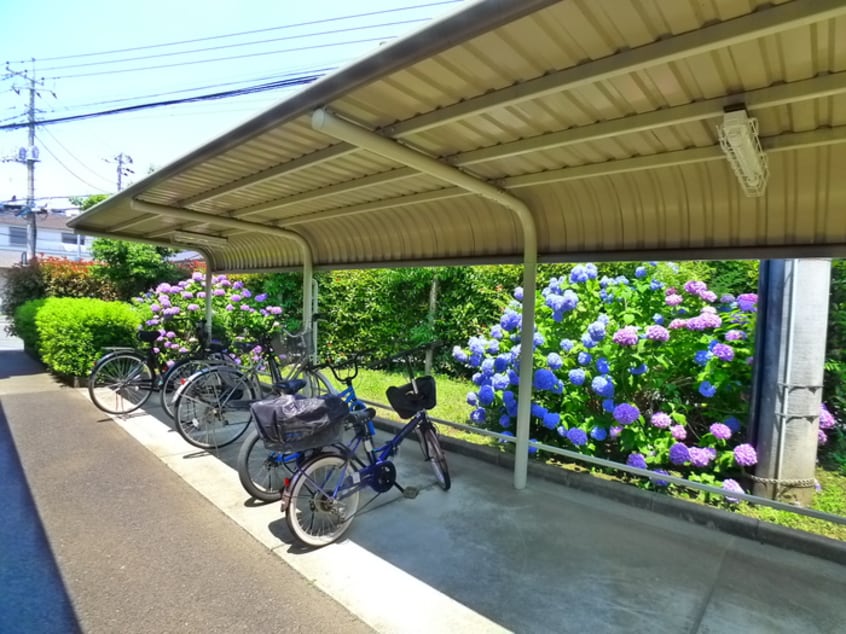 駐輪場 ミレニアム・リュウ