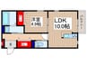 ラテルネ川越 1LDKの間取り