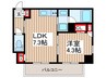 レルシール大島(604) 1LDKの間取り
