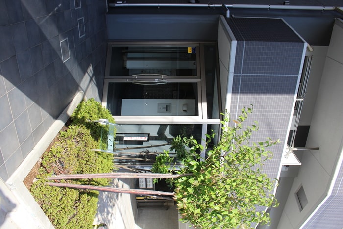 エントランス部分 レヴィ亀戸(604)