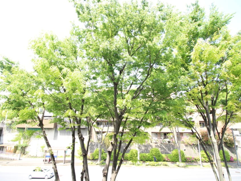 室内からの展望 Ts garden都筑ふれあいの丘