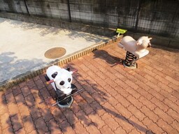 周辺環境