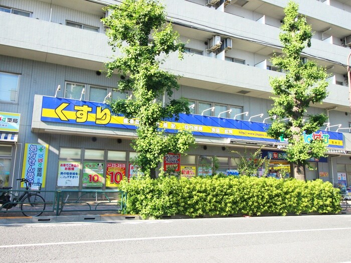 どらっぐぱぱす若林店(ドラッグストア)まで196m レジディア世田谷若林