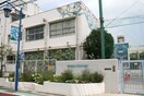 二子玉川小学校(小学校)まで290m 藤和二子玉川園コープ（305）