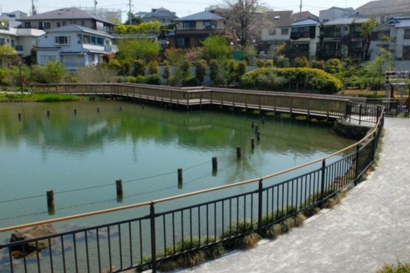 小池公園(公園)まで800m メゾンドール