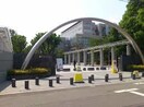 東京農工大学(大学/短大/専門学校)まで2000m 大澤ハイツ