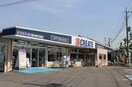 クリエイトSD川越上野田店(ドラッグストア)まで270m 鈴蘭荘６号棟