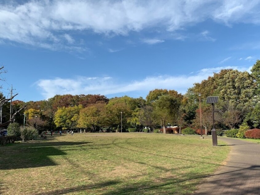 井の頭公園　三角広場(公園)まで450m RK吉祥寺