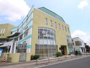 市立図書館分館(図書館)まで1100m サンシティハイツ斉藤