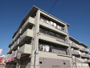 ハ－フティンバ－