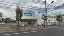 ウェルシア福生北田園店(ドラッグストア)まで94m ラフォルテ福生