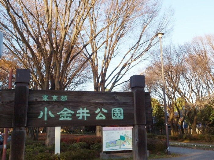 小金井公園(公園)まで50m エランド－ルＢ